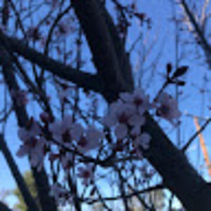 Meet your Posher, Isabella